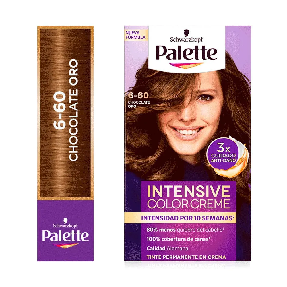 TINTE PALETTE COLOR CHOCOLATE ORO 6-60