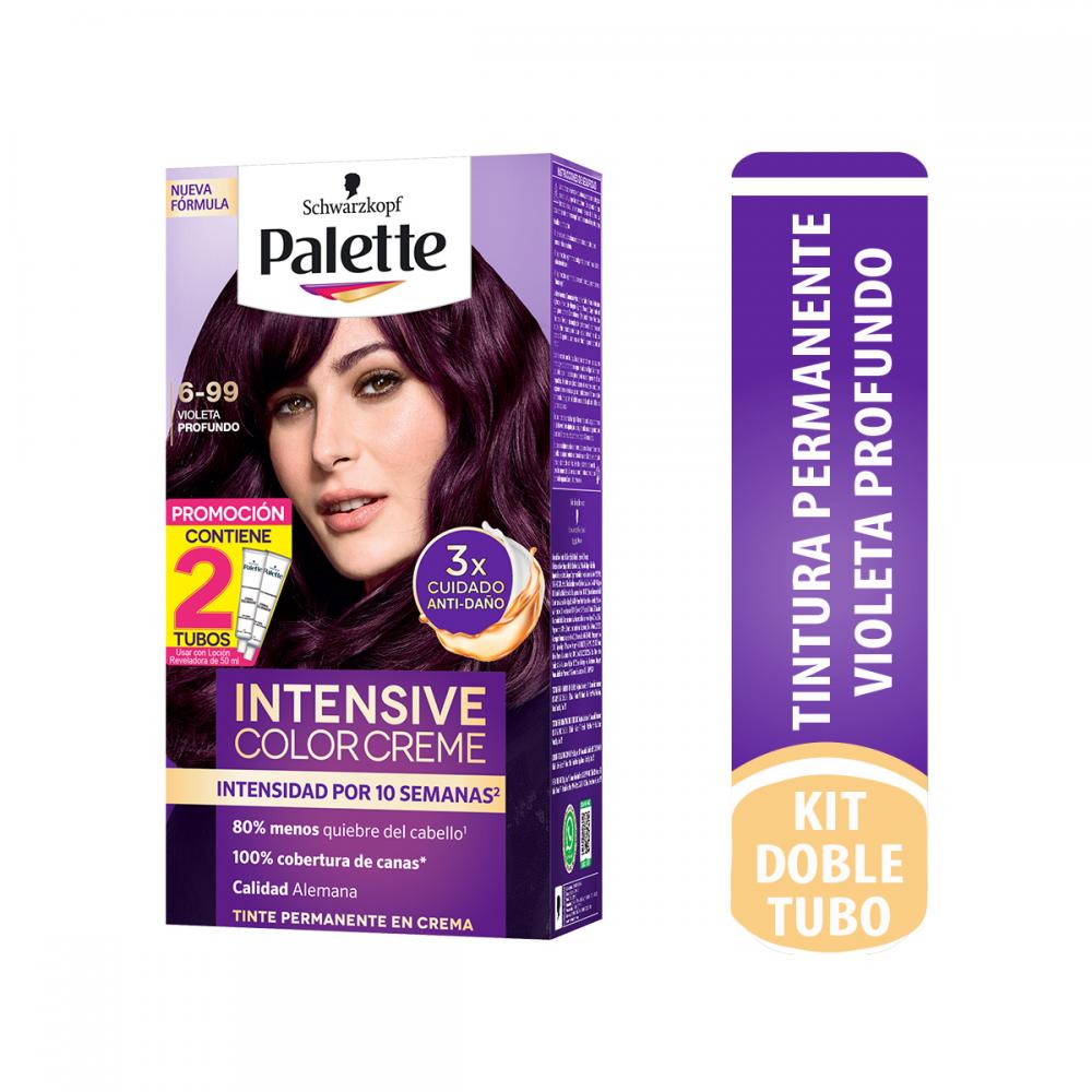 TINTE PALETTE COLOR VIOLETA PROFUNDO 6-99